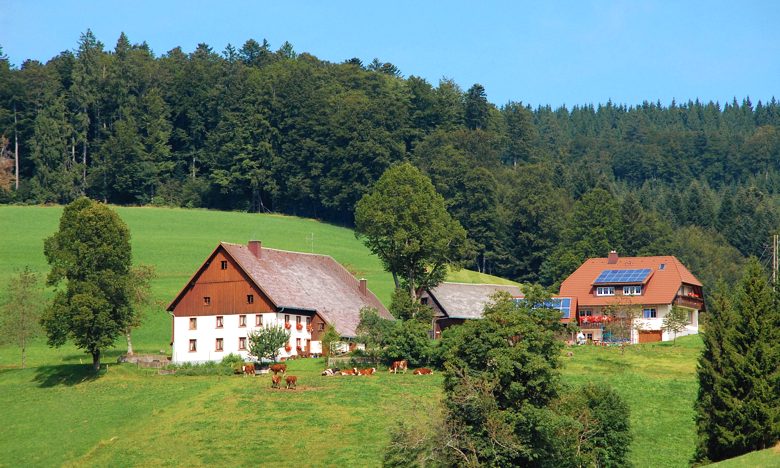 Urlaub auf dem Baschijörgenhof