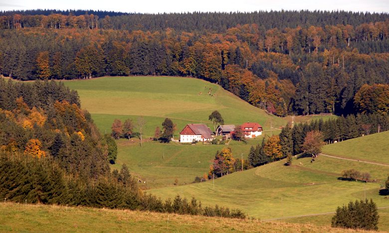 Urlaub auf dem Baschijörgenhof