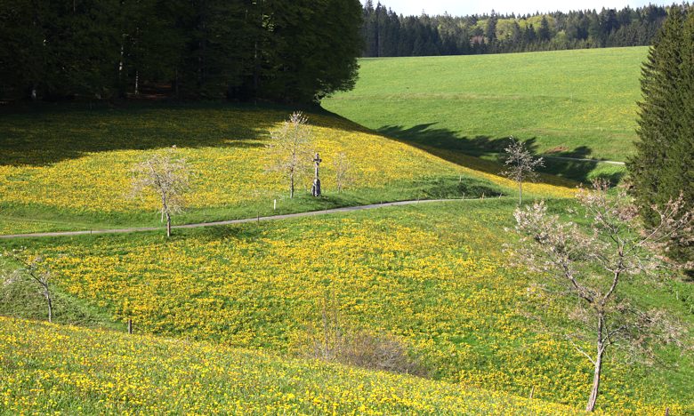 Urlaub auf dem Baschijrgenhof