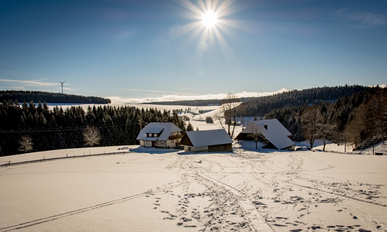 Urlaub auf dem Baschijörgenhof